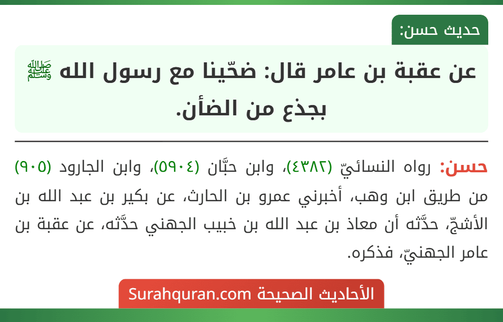 عن عقبة بن عامر قال: ضحّينا مع رسول الله ﷺ بجذع من الضأن. عن عقبة بن عامر قال: ضحّينا مع رسول الله ﷺ بجذع من الضأن.