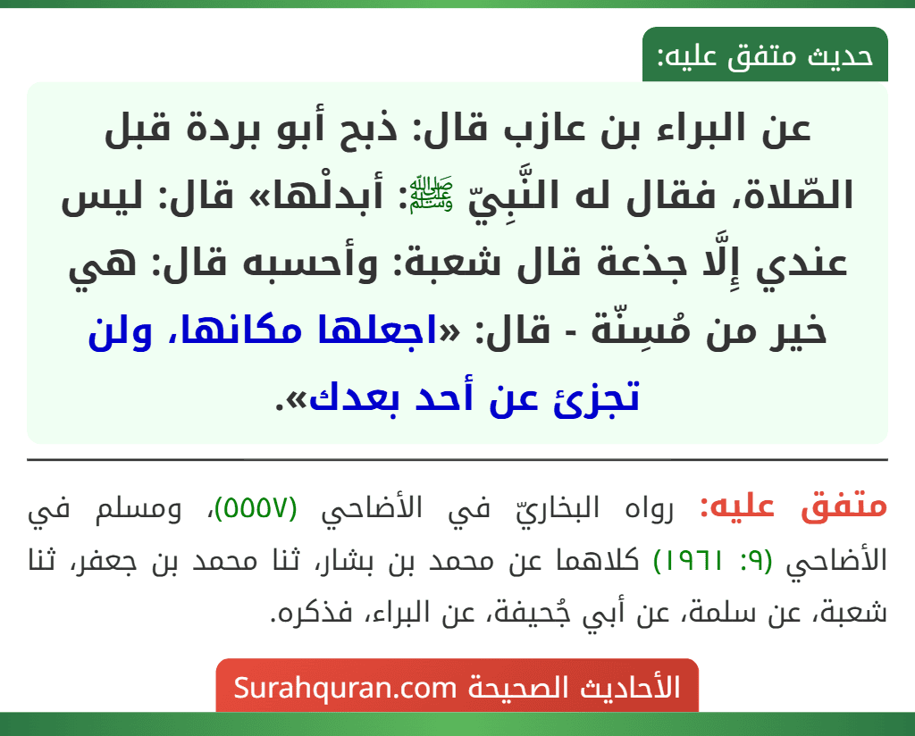 عن البراء بن عازب قال: ذبح أبو بردة قبل الصّلاة، فقال له النَّبِيّ ﷺ: أبدلْها» قال: ليس عندي إِلَّا جذعة قال شعبة: وأحسبه قال: هي خير من مُسِنّة - قال: «اجعلها مكانها، ولن تجزئ عن أحد بعدك». عن البراء بن عازب قال: ذبح أبو بردة قبل الصّلاة، فقال له النَّبِيّ ﷺ: أبدلْها» قال: ليس عندي إِلَّا جذعة قال شعبة: وأحسبه قال: هي خير من مُسِنّة - قال: «اجعلها مكانها، ولن تجزئ عن أحد بعدك».