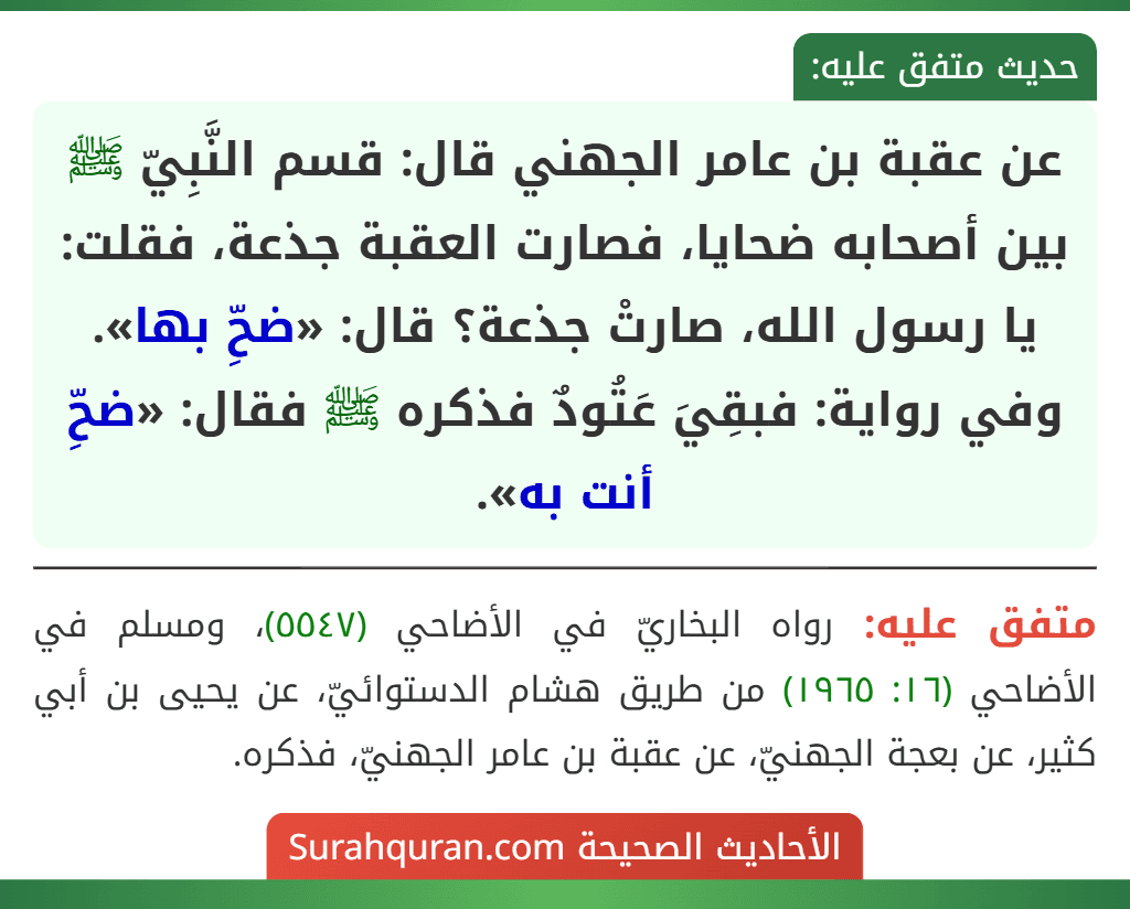 عن عقبة بن عامر الجهني قال: قسم النَّبِيّ ﷺ بين أصحابه ضحايا، فصارت العقبة جذعة، فقلت: يا رسول الله، صارتْ جذعة؟ قال: «ضحِّ بها».
وفي رواية: فبقِيَ عَتُودٌ فذكره ﷺ فقال: «ضحِّ أنت به».