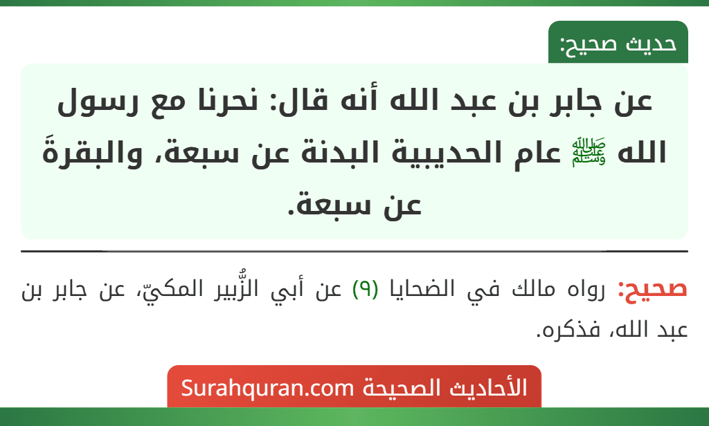 عن جابر بن عبد الله أنه قال: نحرنا مع رسول الله ﷺ عام الحديبية البدنة عن سبعة، والبقرةَ عن سبعة.