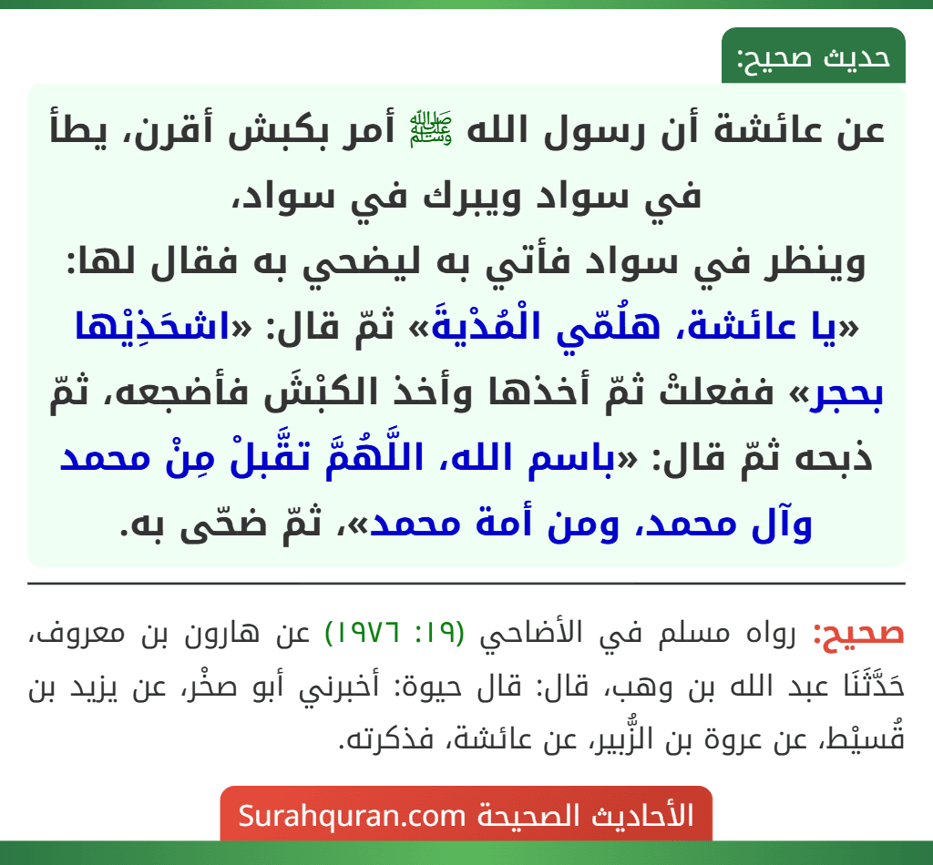عن عائشة أن رسول الله ﷺ أمر بكبش أقرن، يطأ في سواد ويبرك في سواد،
وينظر في سواد فأتي به ليضحي به فقال لها: «يا عائشة، هلُمّي الْمُدْيةَ» ثمّ قال: «اشحَذِيْها بحجر» ففعلتْ ثمّ أخذها وأخذ الكبْشَ فأضجعه، ثمّ ذبحه ثمّ قال: «باسم الله، اللَّهُمَّ تقَّبلْ مِنْ محمد وآل محمد، ومن أمة محمد»، ثمّ ضحّى به.