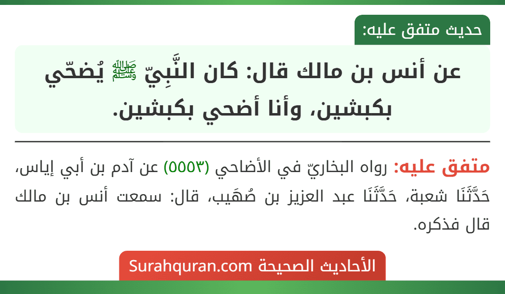 عن أنس بن مالك قال: كان النَّبِيّ ﷺ يُضحّي بكبشين، وأنا أضحي بكبشين.