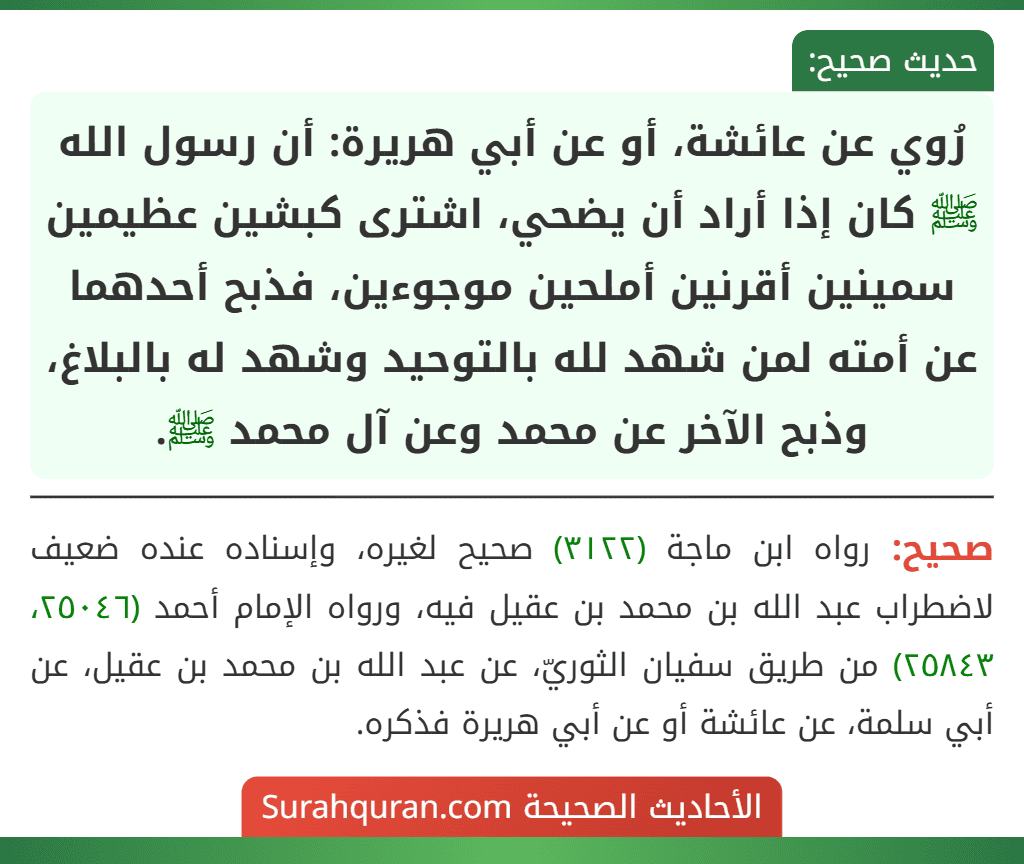 رُوي عن عائشة، أو عن أبي هريرة: أن رسول الله ﷺ كان إذا أراد أن يضحي، اشترى كبشين عظيمين سمينين أقرنين أملحين موجوءين، فذبح أحدهما عن أمته لمن شهد لله بالتوحيد وشهد له بالبلاغ، وذبح الآخر عن محمد وعن آل محمد ﷺ. رُوي عن عائشة، أو عن أبي هريرة: أن رسول الله ﷺ كان إذا أراد أن يضحي، اشترى كبشين عظيمين سمينين أقرنين أملحين موجوءين، فذبح أحدهما عن أمته لمن شهد لله بالتوحيد وشهد له بالبلاغ، وذبح الآخر عن محمد وعن آل محمد ﷺ.