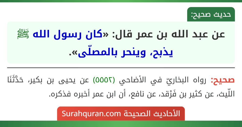 عن عبد الله بن عمر قال: «كان رسول الله ﷺ يذبح، وينحر بالمصلّى».