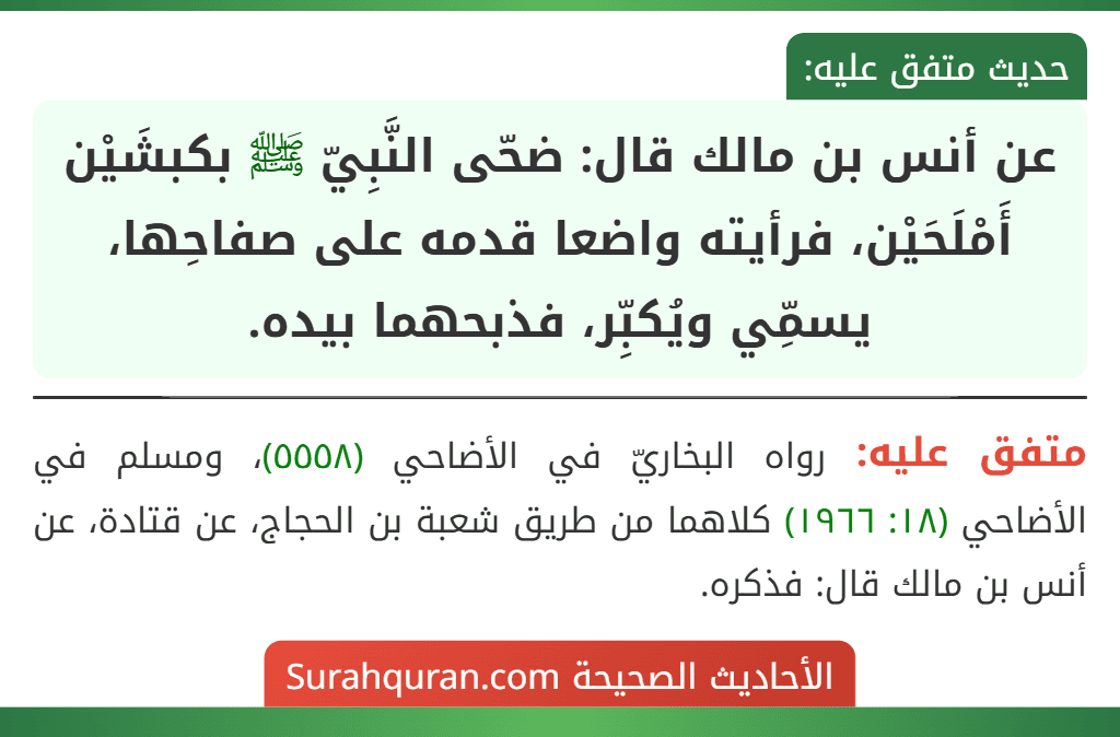 عن أنس بن مالك قال: ضحّى النَّبِيّ ﷺ بكبشَيْن أَمْلَحَيْن، فرأيته واضعا قدمه على صفاحِها، يسمِّي ويُكبِّر، فذبحهما بيده.