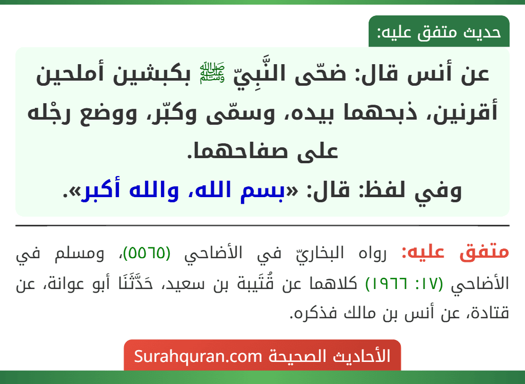 عن أنس قال: ضحّى النَّبِيّ ﷺ بكبشين أملحين أقرنين، ذبحهما بيده، وسمّى وكبّر، ووضع رجْله على صفاحهما.
وفي لفظ: قال: «بسم الله، والله أكبر».