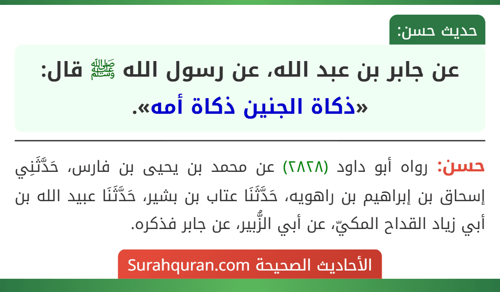 عن جابر بن عبد الله، عن رسول الله ﷺ قال: «ذكاة الجنين ذكاة أمه».