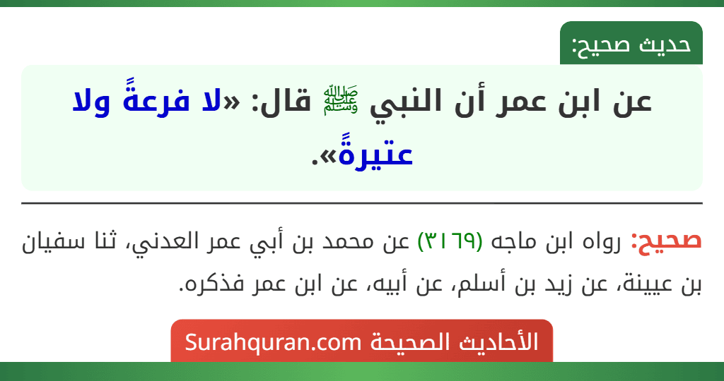 عن ابن عمر أن النبي ﷺ قال: «لا فرعةً ولا عتيرةً». عن ابن عمر أن النبي ﷺ قال: «لا فرعةً ولا عتيرةً».