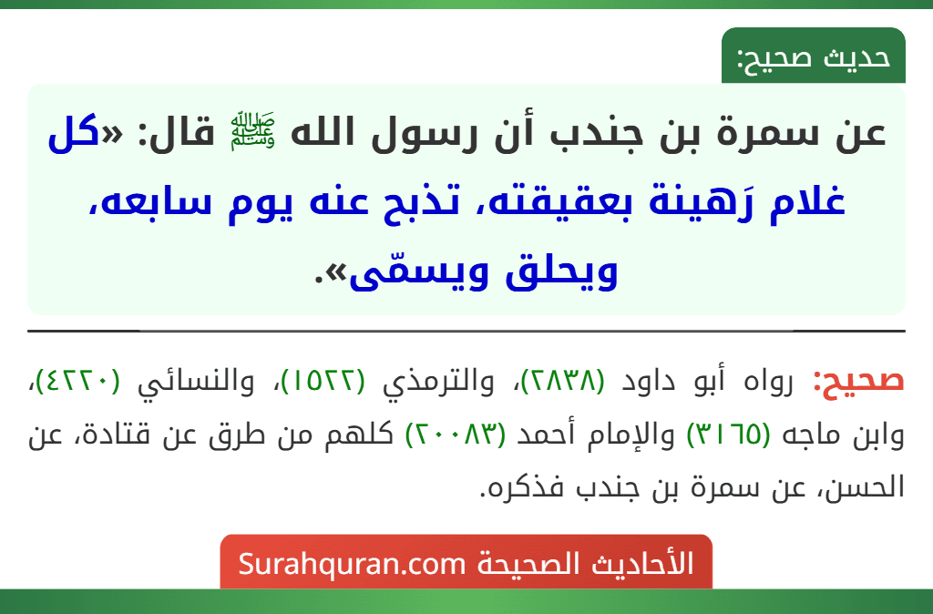 عن سمرة بن جندب أن رسول الله ﷺ قال: «كل غلام رَهينة بعقيقته، تذبح عنه يوم سابعه، ويحلق ويسمّى».