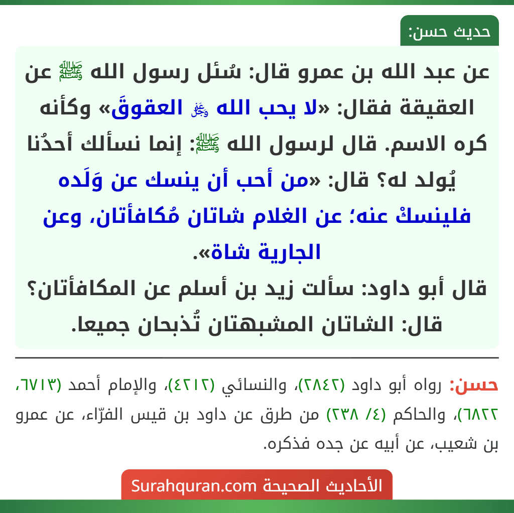 عن عبد الله بن عمرو قال: سُئل رسول الله ﷺ عن العقيقة فقال: «لا يحب الله ﷿ العقوقَ» وكأنه كره الاسم. قال لرسول الله ﷺ: إنما نسألك أحدُنا يُولد له؟ قال: «من أحب أن ينسك عن وَلَده فلينسكْ عنه؛ عن الغلام شاتان مُكافأتان، وعن الجارية شاة».
قال أبو داود: سألت زيد بن أسلم عن المكافأتان؟ قال: الشاتان المشبهتان تُذبحان جميعا. عن عبد الله بن عمرو قال: سُئل رسول الله ﷺ عن العقيقة فقال: «لا يحب الله ﷿ العقوقَ» وكأنه كره الاسم. قال لرسول الله ﷺ: إنما نسألك أحدُنا يُولد له؟ قال: «من أحب أن ينسك عن وَلَده فلينسكْ عنه؛ عن الغلام شاتان مُكافأتان، وعن الجارية شاة».
قال أبو داود: سألت زيد بن أسلم عن المكافأتان؟ قال: الشاتان المشبهتان تُذبحان جميعا.