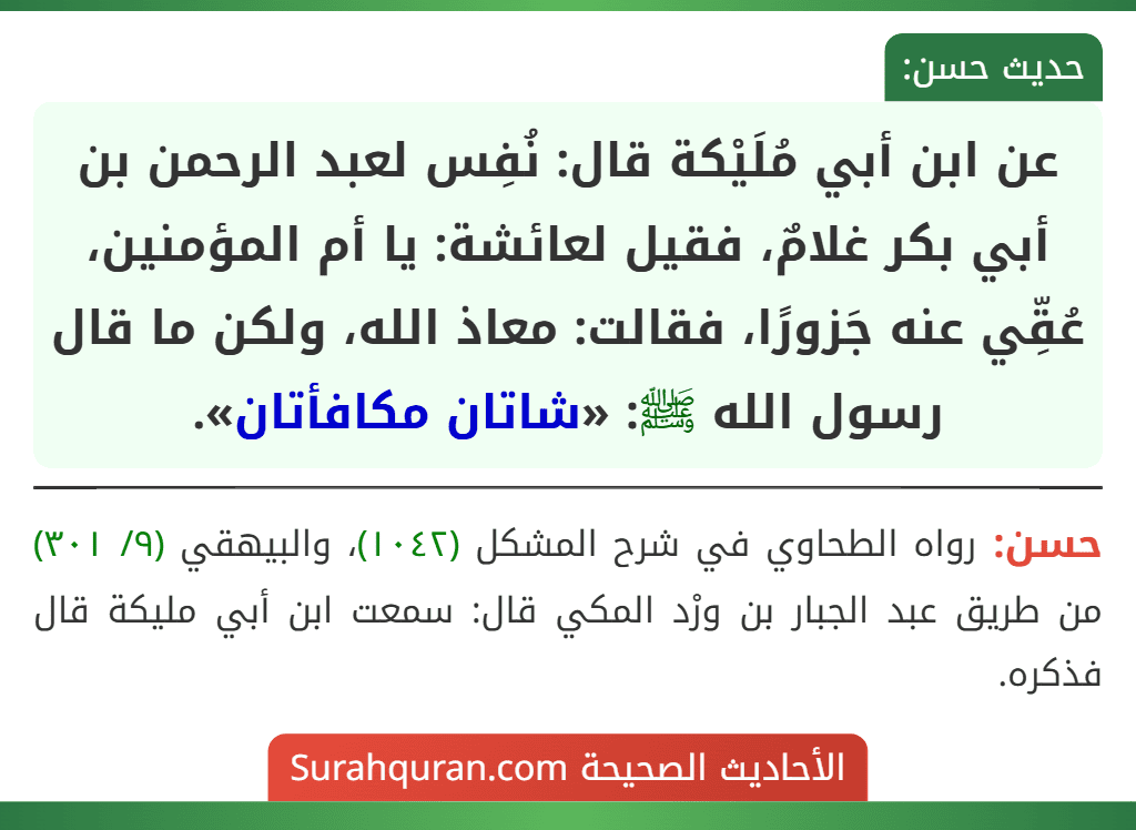 عن ابن أبي مُلَيْكة قال: نُفِس لعبد الرحمن بن أبي بكر غلامٌ، فقيل لعائشة: يا أم المؤمنين، عُقِّي عنه جَزورًا، فقالت: معاذ الله، ولكن ما قال رسول الله ﷺ: «شاتان مكافأتان». عن ابن أبي مُلَيْكة قال: نُفِس لعبد الرحمن بن أبي بكر غلامٌ، فقيل لعائشة: يا أم المؤمنين، عُقِّي عنه جَزورًا، فقالت: معاذ الله، ولكن ما قال رسول الله ﷺ: «شاتان مكافأتان».