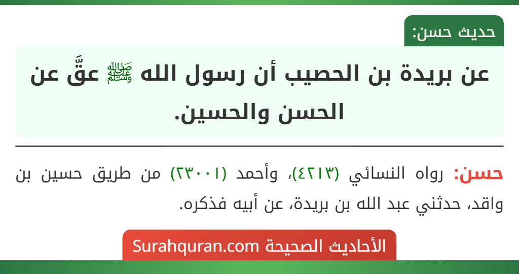 عن بريدة بن الحصيب أن رسول الله ﷺ عقَّ عن الحسن والحسين. عن بريدة بن الحصيب أن رسول الله ﷺ عقَّ عن الحسن والحسين.