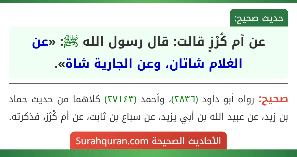 عن أم كُرْزٍ قالت: قال رسول الله ﷺ: «عن الغلام شاتان، وعن الجارية شاة».