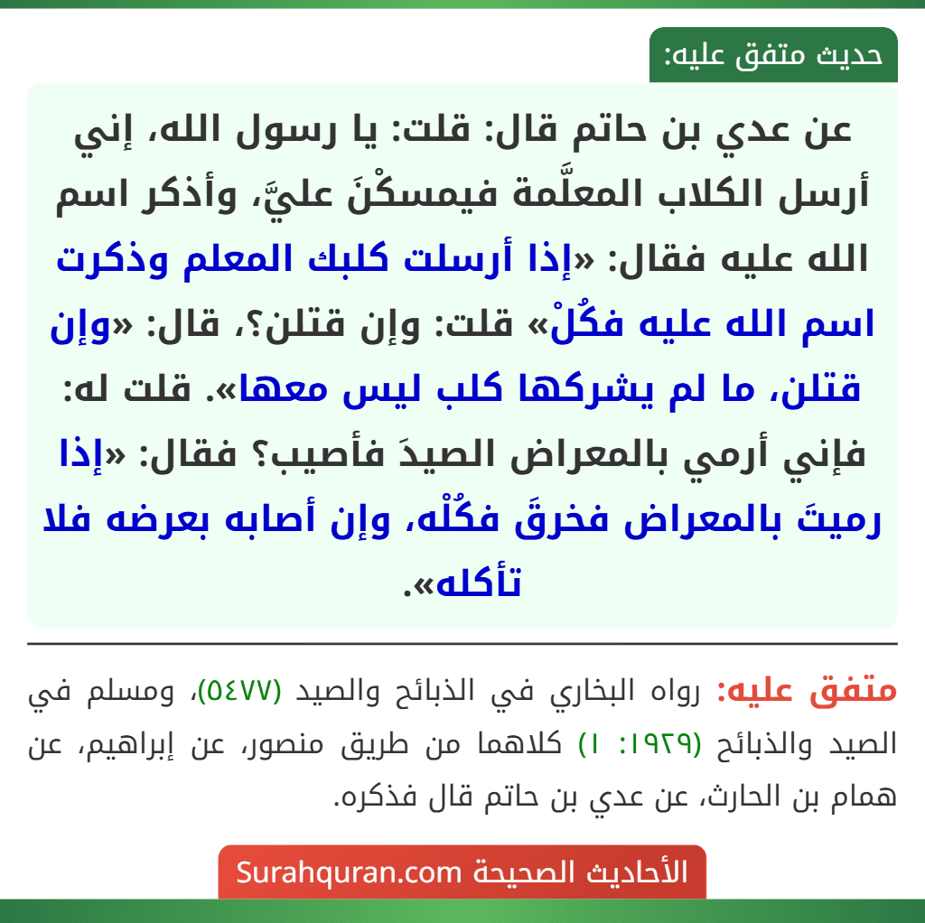 عن عدي بن حاتم قال: قلت: يا رسول الله، إني أرسل الكلاب المعلَّمة فيمسكْنَ عليَّ، وأذكر اسم الله عليه فقال: «إذا أرسلت كلبك المعلم وذكرت اسم الله عليه فكُلْ» قلت: وإن قتلن؟، قال: «وإن قتلن، ما لم يشركها كلب ليس معها». قلت له: فإني أرمي بالمعراض الصيدَ فأصيب؟ فقال: «إذا رميتَ بالمعراض فخرقَ فكُلْه، وإن أصابه بعرضه فلا تأكله». عن عدي بن حاتم قال: قلت: يا رسول الله، إني أرسل الكلاب المعلَّمة فيمسكْنَ عليَّ، وأذكر اسم الله عليه فقال: «إذا أرسلت كلبك المعلم وذكرت اسم الله عليه فكُلْ» قلت: وإن قتلن؟، قال: «وإن قتلن، ما لم يشركها كلب ليس معها». قلت له: فإني أرمي بالمعراض الصيدَ فأصيب؟ فقال: «إذا رميتَ بالمعراض فخرقَ فكُلْه، وإن أصابه بعرضه فلا تأكله».