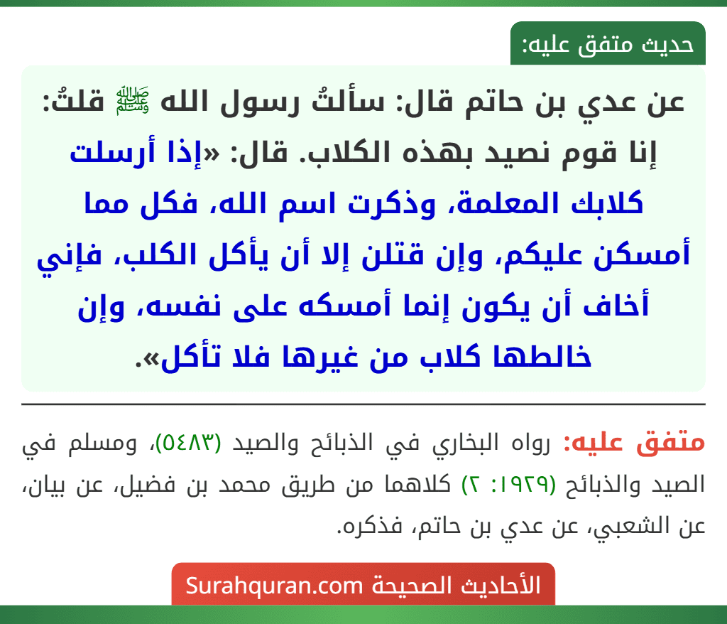 عن عدي بن حاتم قال: سألتُ رسول الله ﷺ قلتُ: إنا قوم نصيد بهذه الكلاب. قال: «إذا أرسلت كلابك المعلمة، وذكرت اسم الله، فكل مما أمسكن عليكم، وإن قتلن إلا أن يأكل الكلب، فإني أخاف أن يكون إنما أمسكه على نفسه، وإن خالطها كلاب من غيرها فلا تأكل».