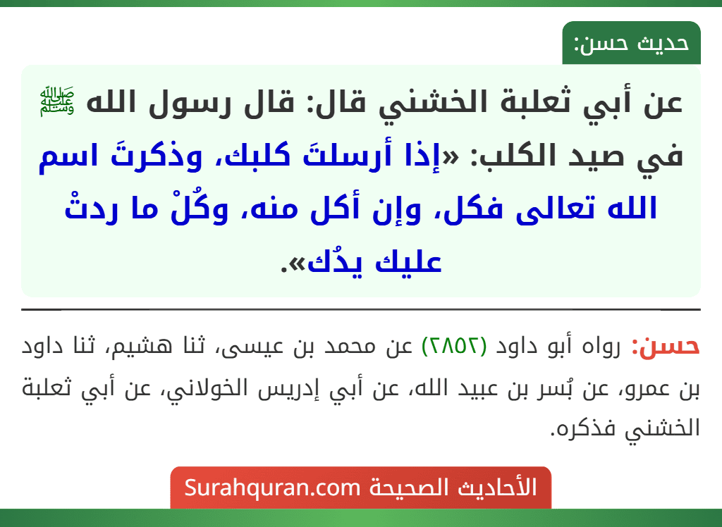 عن أبي ثعلبة الخشني قال: قال رسول الله ﷺ في صيد الكلب: «إذا أرسلتَ كلبك، وذكرتَ اسم الله تعالى فكل، وإن أكل منه، وكُلْ ما ردتْ عليك يدُك».