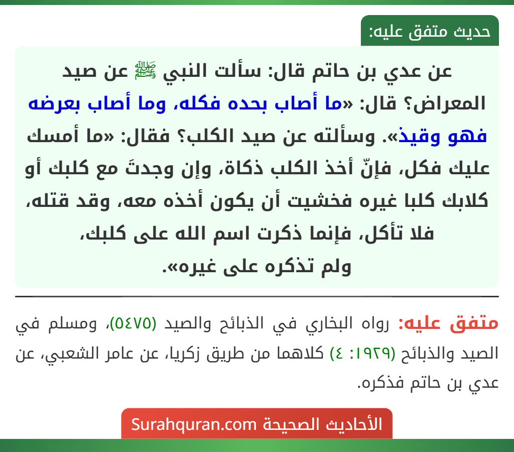 عن عدي بن حاتم قال: سألت النبي ﷺ عن صيد المعراض؟ قال: «ما أصاب بحده فكله، وما أصاب بعرضه فهو وقيذ». وسألته عن صيد الكلب؟ فقال: «ما أمسك عليك فكل، فإنّ أخذ الكلب ذكاة، وإن وجدتَ مع كلبك أو كلابك كلبا غيره فخشيت أن يكون أخذه معه، وقد قتله، فلا تأكل، فإنما ذكرت اسم الله على كلبك،
ولم تذكره على غيره».