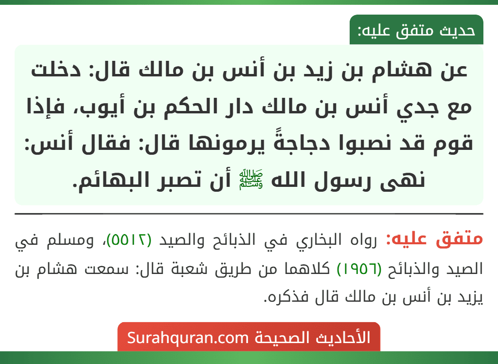 عن هشام بن زيد بن أنس بن مالك قال: دخلت مع جدي أنس بن مالك دار الحكم بن أيوب، فإذا قوم قد نصبوا دجاجةً يرمونها قال: فقال أنس: نهى رسول الله ﷺ أن تصبر البهائم.