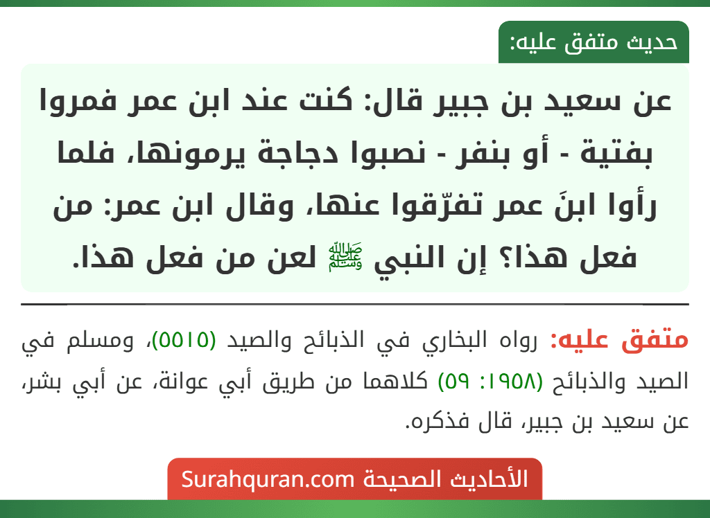 عن سعيد بن جبير قال: كنت عند ابن عمر فمروا بفتية - أو بنفر - نصبوا دجاجة يرمونها، فلما رأوا ابنَ عمر تفرّقوا عنها، وقال ابن عمر: من فعل هذا؟ إن النبي ﷺ لعن من فعل هذا. عن سعيد بن جبير قال: كنت عند ابن عمر فمروا بفتية - أو بنفر - نصبوا دجاجة يرمونها، فلما رأوا ابنَ عمر تفرّقوا عنها، وقال ابن عمر: من فعل هذا؟ إن النبي ﷺ لعن من فعل هذا.