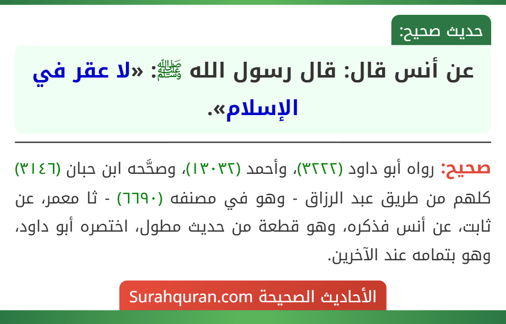 عن أنس قال: قال رسول الله ﷺ: «لا عقر في الإسلام».
