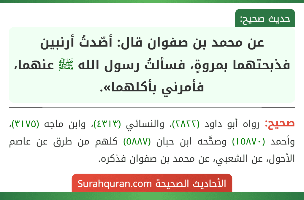 عن محمد بن صفوان قال: أصّدتُ أرنبين فذبحتهما بمروةٍ، فسألتُ رسول الله ﷺ عنهما، فأمرني بأكلهما».