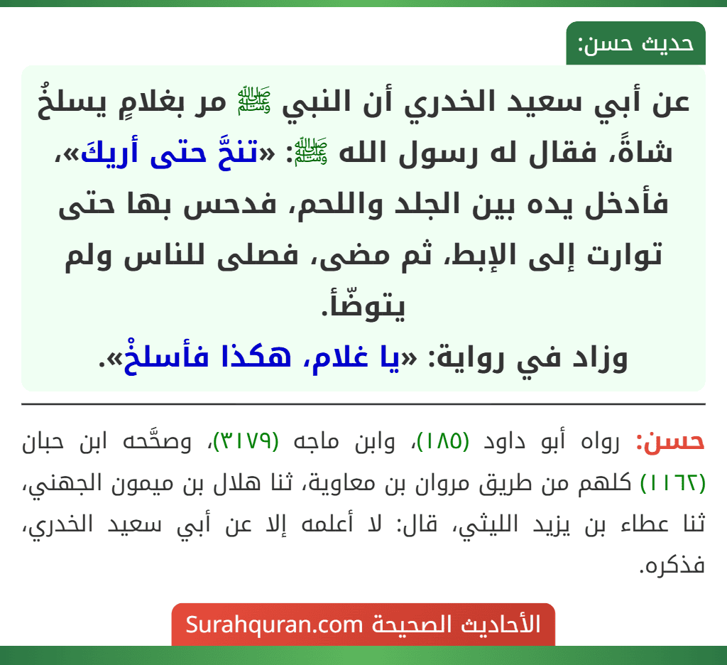 عن أبي سعيد الخدري أن النبي ﷺ مر بغلامٍ يسلخُ شاةً، فقال له رسول الله ﷺ: «تنحَّ حتى أريكَ»، فأدخل يده بين الجلد واللحم، فدحس بها حتى توارت إلى الإبط، ثم مضى، فصلى للناس ولم يتوضّأ.
وزاد في رواية: «يا غلام، هكذا فأسلخْ». عن أبي سعيد الخدري أن النبي ﷺ مر بغلامٍ يسلخُ شاةً، فقال له رسول الله ﷺ: «تنحَّ حتى أريكَ»، فأدخل يده بين الجلد واللحم، فدحس بها حتى توارت إلى الإبط، ثم مضى، فصلى للناس ولم يتوضّأ.
وزاد في رواية: «يا غلام، هكذا فأسلخْ».