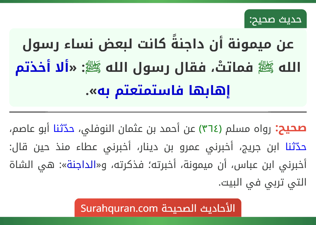 عن ميمونة أن داجنةً كانت لبعض نساء رسول الله ﷺ فماتتْ، فقال رسول الله ﷺ: «ألا أخذتم إهابها فاستمتعتم به». عن ميمونة أن داجنةً كانت لبعض نساء رسول الله ﷺ فماتتْ، فقال رسول الله ﷺ: «ألا أخذتم إهابها فاستمتعتم به».