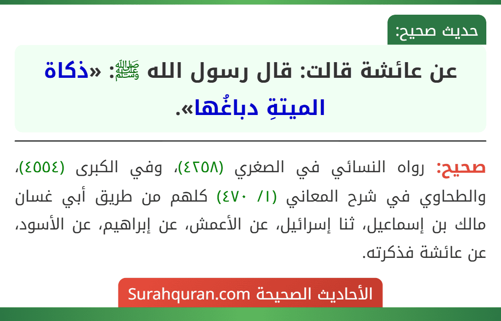 عن عائشة قالت: قال رسول الله ﷺ: «ذكاة الميتةِ دباغُها».