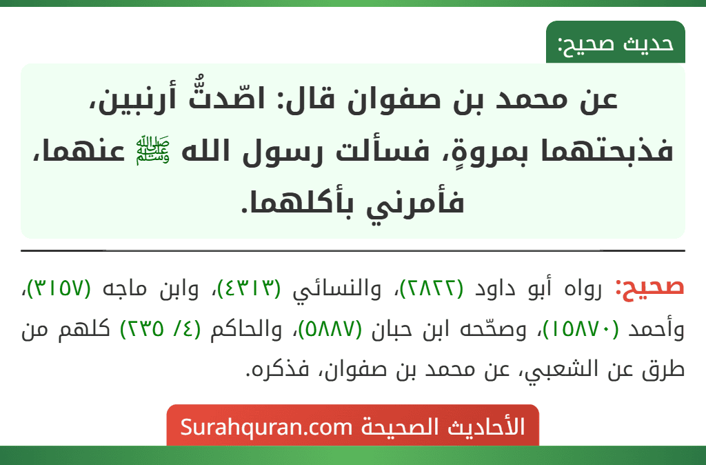 عن محمد بن صفوان قال: اصّدتُّ أرنبين، فذبحتهما بمروةٍ، فسألت رسول الله ﷺ عنهما، فأمرني بأكلهما.