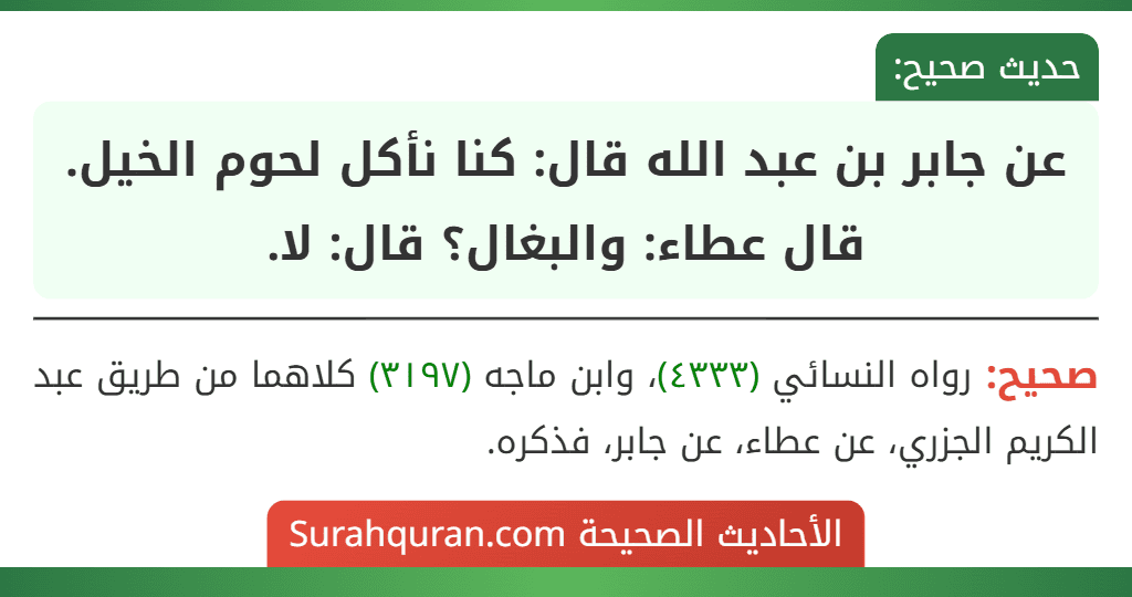 عن جابر بن عبد الله قال: كنا نأكل لحوم الخيل.
قال عطاء: والبغال؟ قال: لا. عن جابر بن عبد الله قال: كنا نأكل لحوم الخيل.
قال عطاء: والبغال؟ قال: لا.