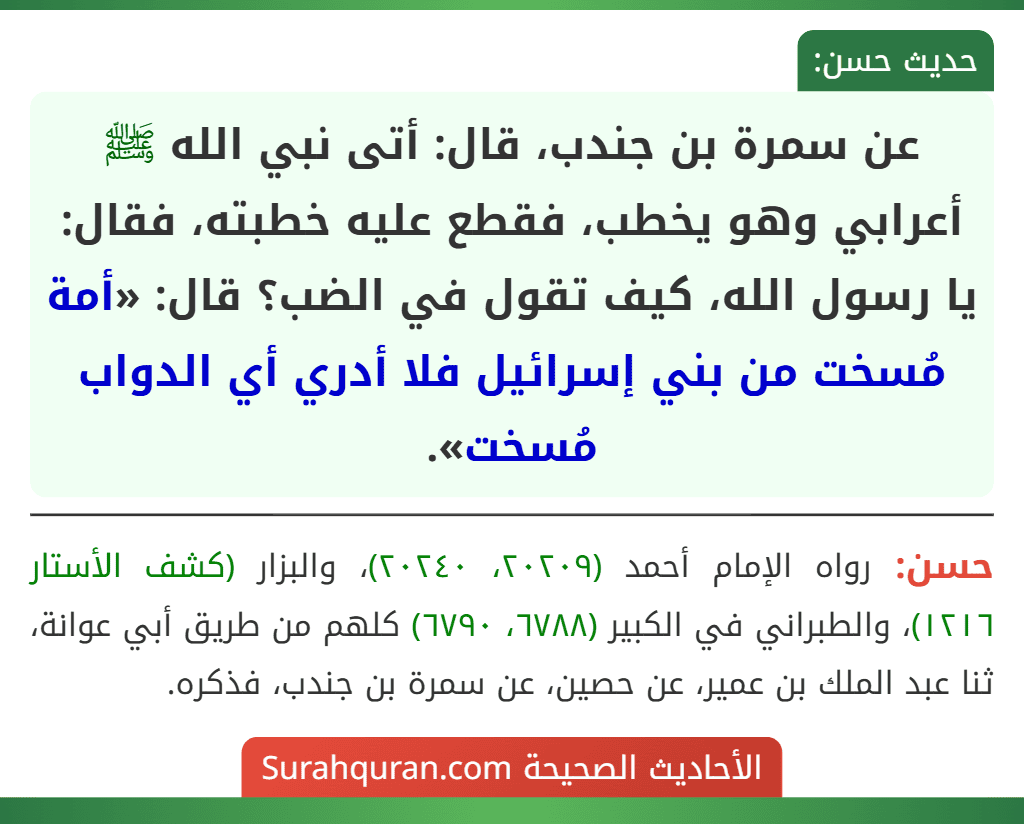عن سمرة بن جندب، قال: أتى نبي الله ﷺ أعرابي وهو يخطب، فقطع عليه خطبته، فقال: يا رسول الله، كيف تقول في الضب؟ قال: «أمة مُسخت من بني إسرائيل فلا أدري أي الدواب مُسخت».