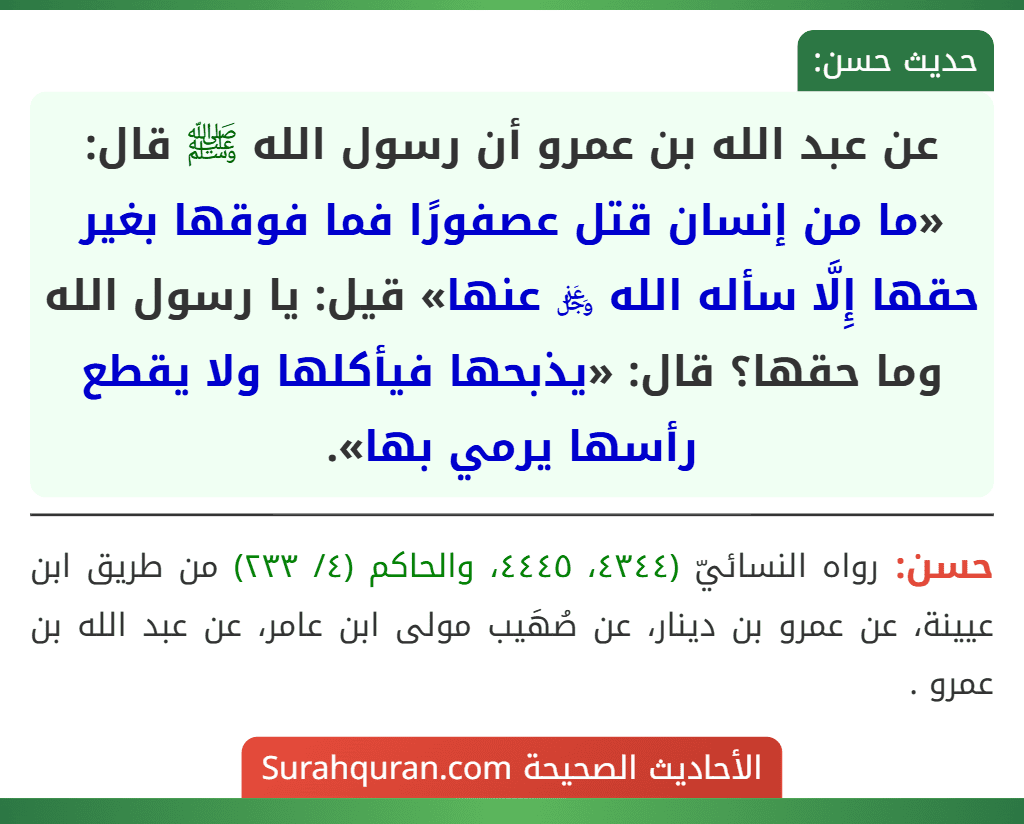 عن عبد الله بن عمرو أن رسول الله ﷺ قال: «ما من إنسان قتل عصفورًا فما فوقها بغير حقها إِلَّا سأله الله ﷿ عنها» قيل: يا رسول الله وما حقها؟ قال: «يذبحها فيأكلها ولا يقطع رأسها يرمي بها». عن عبد الله بن عمرو أن رسول الله ﷺ قال: «ما من إنسان قتل عصفورًا فما فوقها بغير حقها إِلَّا سأله الله ﷿ عنها» قيل: يا رسول الله وما حقها؟ قال: «يذبحها فيأكلها ولا يقطع رأسها يرمي بها».