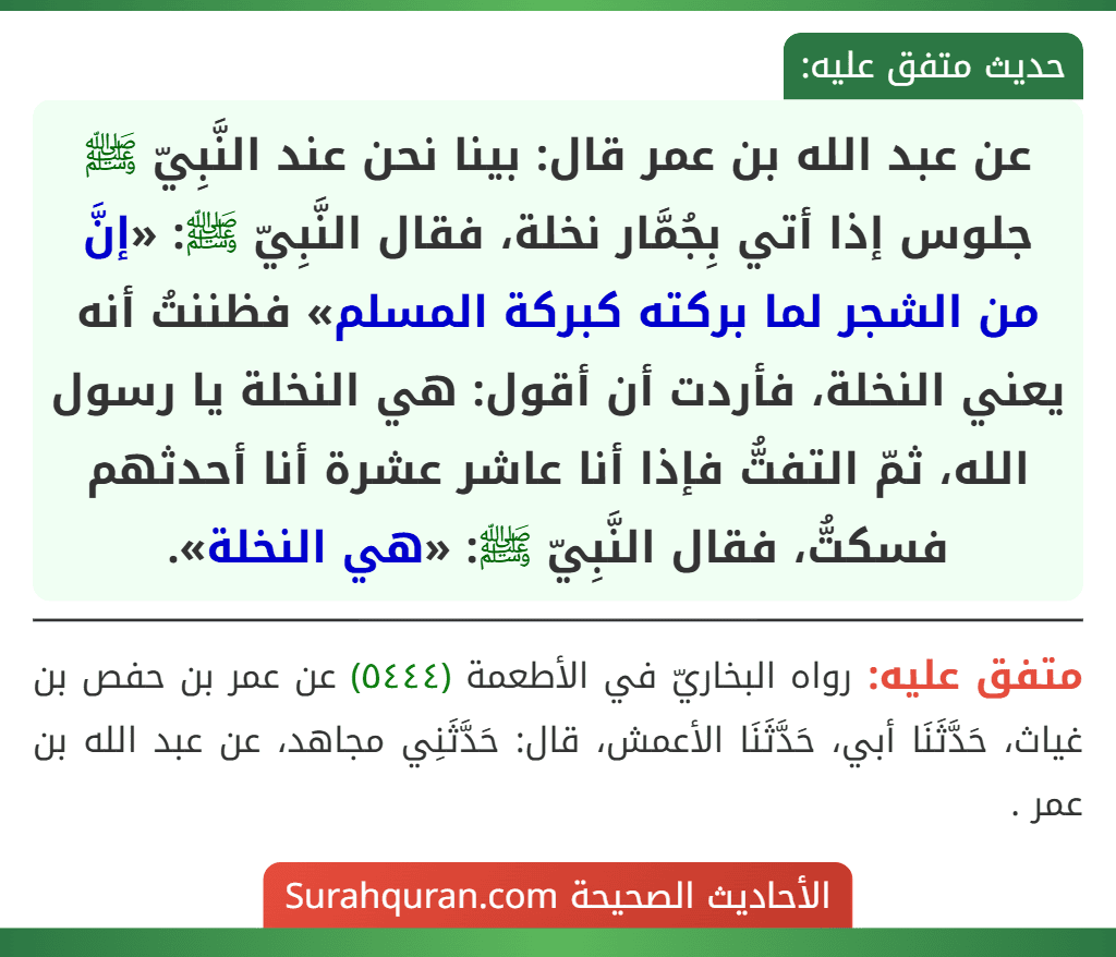 عن عبد الله بن عمر قال: بينا نحن عند النَّبِيّ ﷺ جلوس إذا أتي بِجُمَّار نخلة، فقال النَّبِيّ ﷺ: «إنَّ من الشجر لما بركته كبركة المسلم» فظننتُ أنه يعني النخلة، فأردت أن أقول: هي النخلة يا رسول الله، ثمّ التفتُّ فإذا أنا عاشر عشرة أنا أحدثهم فسكتُّ، فقال النَّبِيّ ﷺ: «هي النخلة».