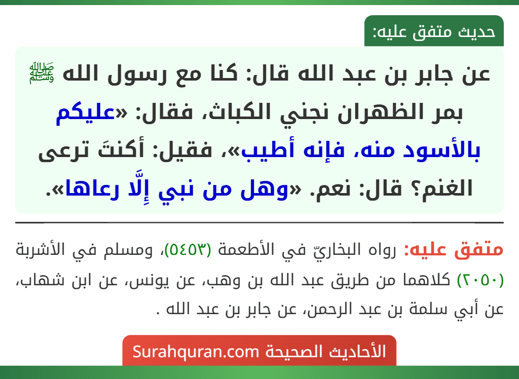عن جابر بن عبد الله قال: كنا مع رسول الله ﷺ بمر الظهران نجني الكباث، فقال: «عليكم بالأسود منه، فإنه أطيب»، فقيل: أكنتَ ترعى الغنم؟ قال: نعم. «وهل من نبي إِلَّا رعاها».
