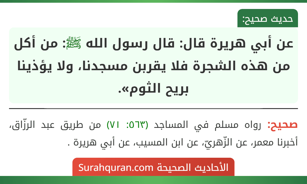 عن أبي هريرة قال: قال رسول الله ﷺ: من أكل من هذه الشجرة فلا يقربن مسجدنا، ولا يؤذينا بريح الثوم». عن أبي هريرة قال: قال رسول الله ﷺ: من أكل من هذه الشجرة فلا يقربن مسجدنا، ولا يؤذينا بريح الثوم».