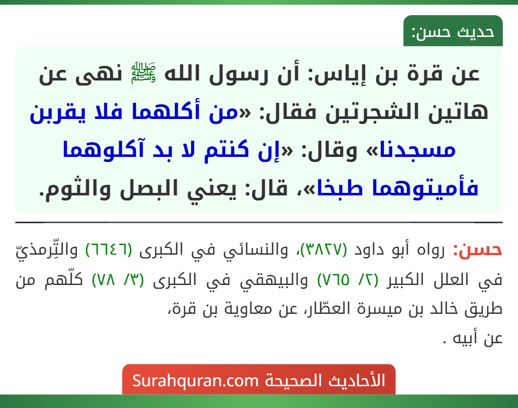 عن قرة بن إياس: أن رسول الله ﷺ نهى عن هاتين الشجرتين فقال: «من أكلهما فلا يقربن مسجدنا» وقال: «إن كنتم لا بد آكلوهما فأميتوهما طبخا»، قال: يعني البصل والثوم.