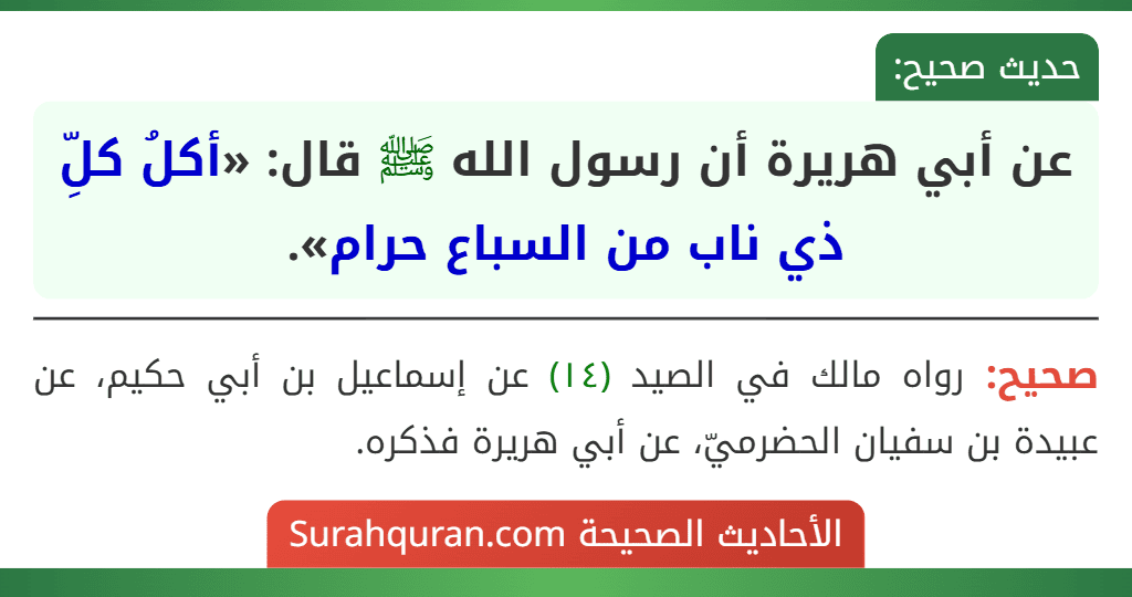 عن أبي هريرة أن رسول الله ﷺ قال: «أكلُ كلِّ ذي ناب من السباع حرام».