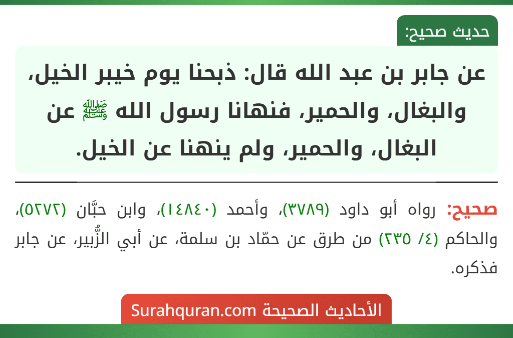 عن جابر بن عبد الله قال: ذبحنا يوم خيبر الخيل، والبغال، والحمير، فنهانا رسول الله ﷺ عن البغال، والحمير، ولم ينهنا عن الخيل. عن جابر بن عبد الله قال: ذبحنا يوم خيبر الخيل، والبغال، والحمير، فنهانا رسول الله ﷺ عن البغال، والحمير، ولم ينهنا عن الخيل.