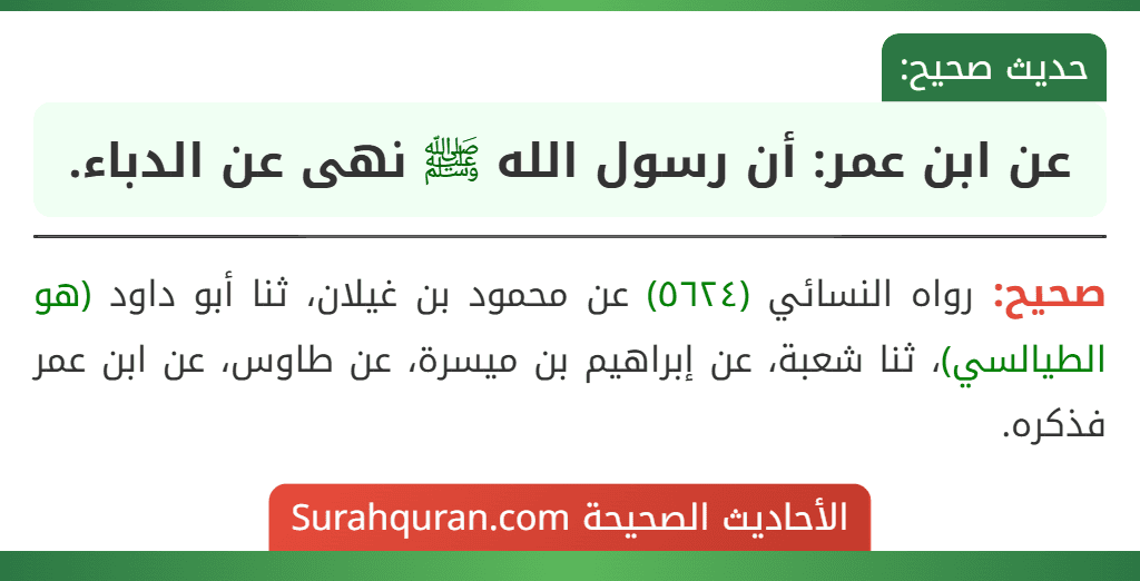 عن ابن عمر: أن رسول الله ﷺ نهى عن الدباء.