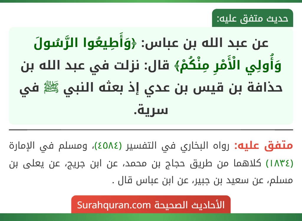عن عبد الله بن عباس: ﴿وَأَطِيعُوا الرَّسُولَ وَأُولِي الْأَمْرِ مِنْكُمْ﴾ قال: نزلت في عبد الله بن حذافة بن قيس بن عدي إذ بعثه النبي ﷺ في سرية.
