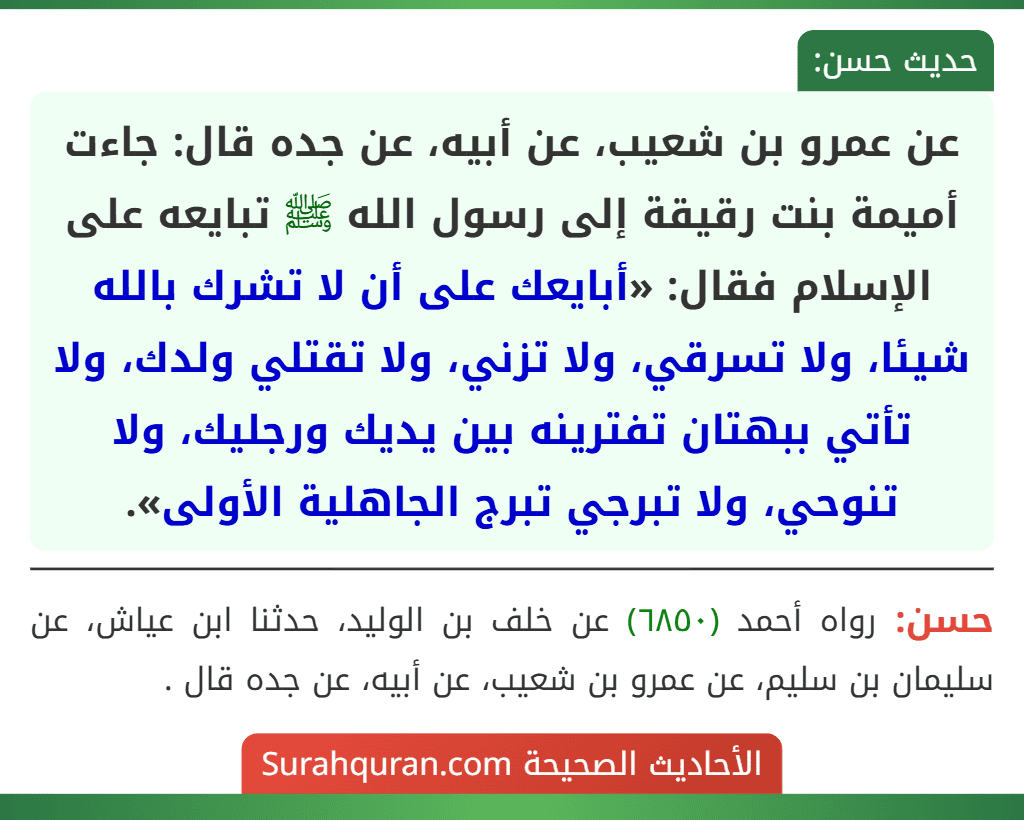 عن عمرو بن شعيب، عن أبيه، عن جده قال: جاءت أميمة بنت رقيقة إلى رسول الله ﷺ تبايعه على الإسلام فقال: «أبايعك على أن لا تشرك بالله شيئا، ولا تسرقي، ولا تزني، ولا تقتلي ولدك، ولا تأتي ببهتان تفترينه بين يديك ورجليك، ولا تنوحي، ولا تبرجي تبرج الجاهلية الأولى».