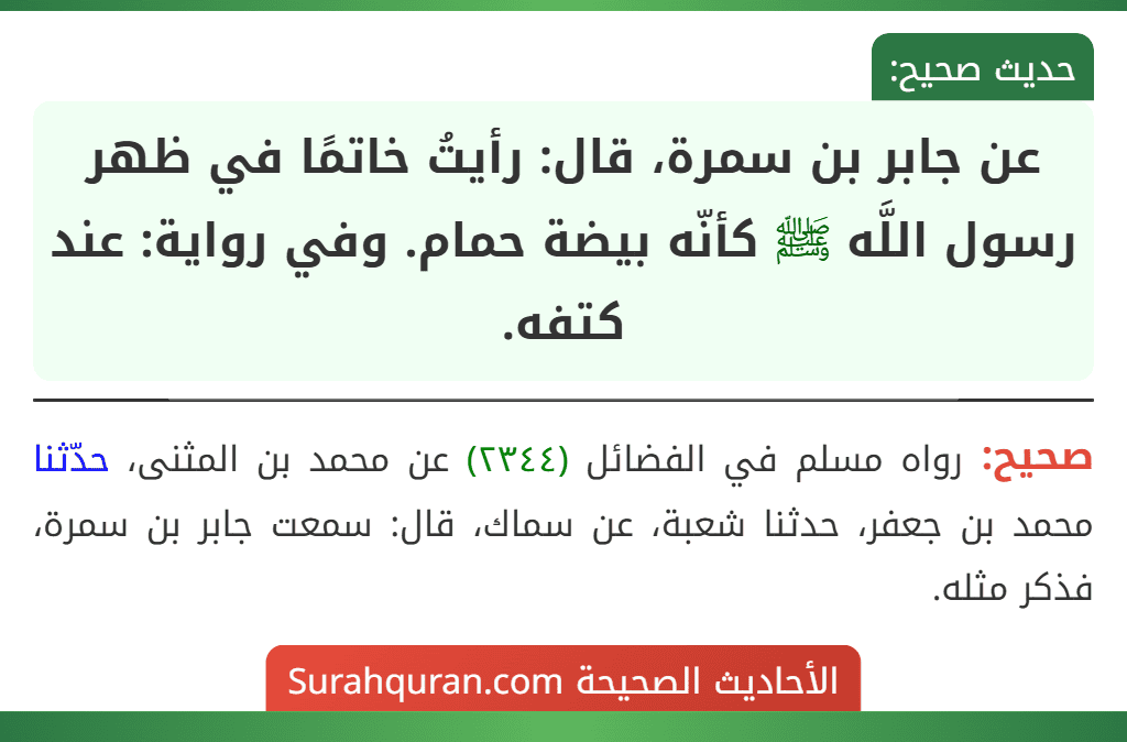 عن جابر بن سمرة، قال: رأيتُ خاتمًا في ظهر رسول اللَّه ﷺ كأنّه بيضة حمام. وفي رواية: عند كتفه.