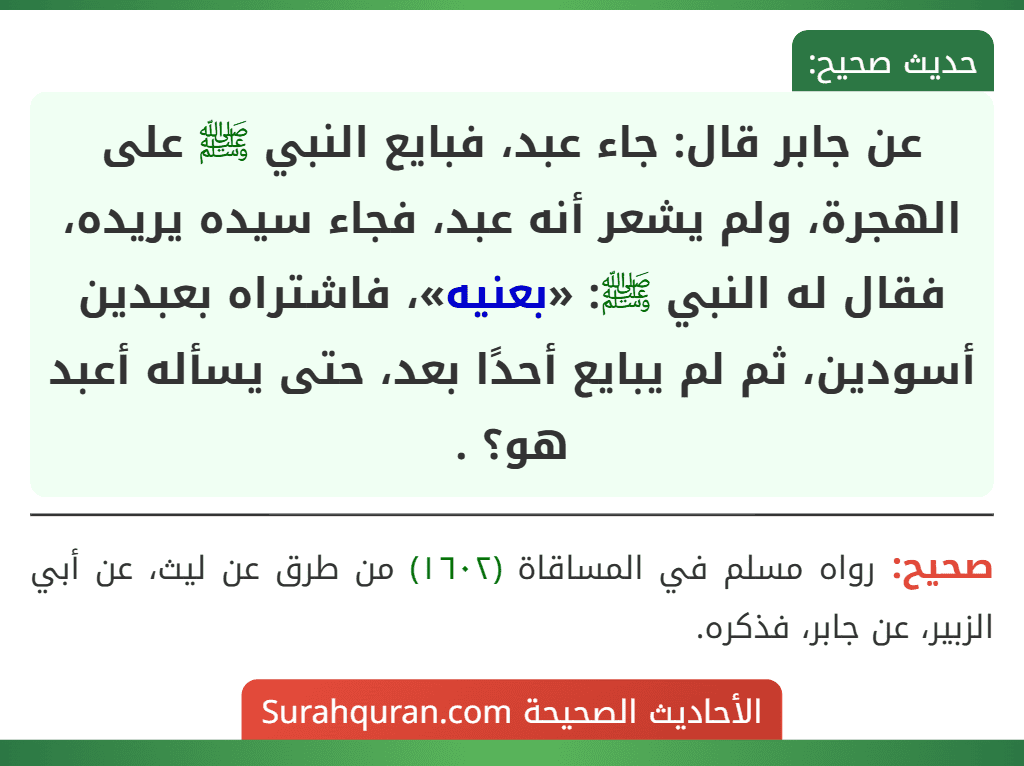 عن جابر قال: جاء عبد، فبايع النبي ﷺ على الهجرة، ولم يشعر أنه عبد، فجاء سيده يريده، فقال له النبي ﷺ: «بعنيه»، فاشتراه بعبدين أسودين، ثم لم يبايع أحدًا بعد، حتى يسأله أعبد هو؟ .