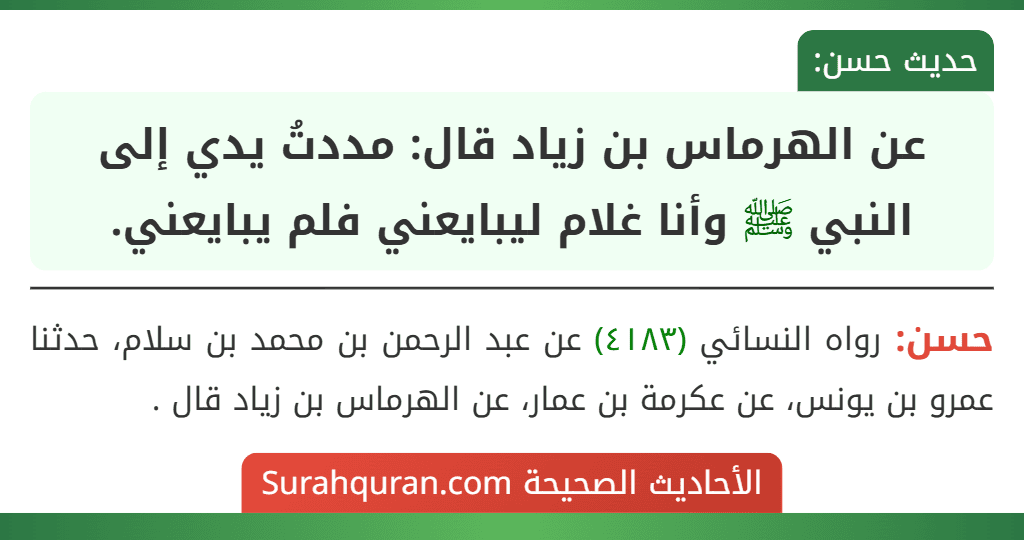عن الهرماس بن زياد قال: مددتُ يدي إلى النبي ﷺ وأنا غلام ليبايعني فلم يبايعني.