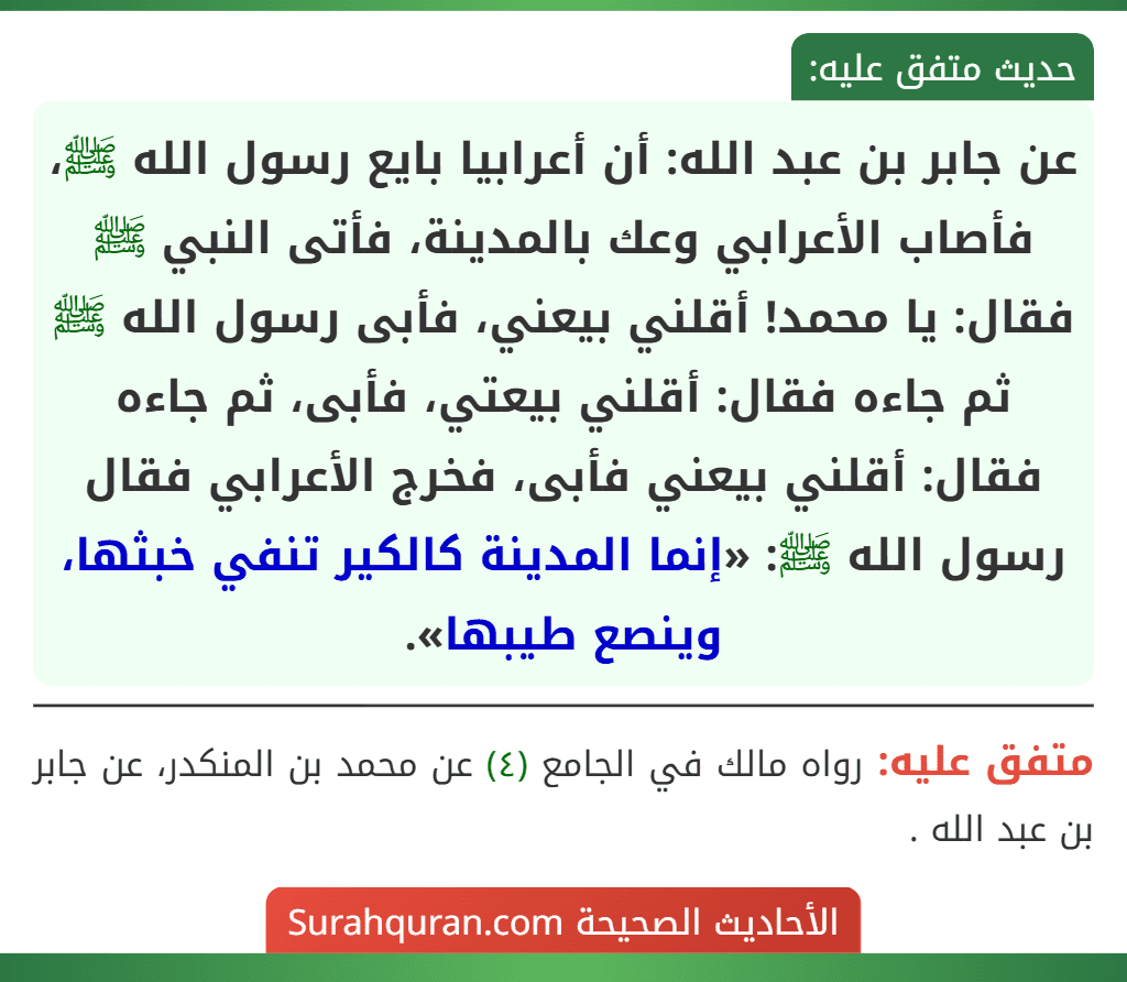 عن جابر بن عبد الله: أن أعرابيا بايع رسول الله ﷺ، فأصاب الأعرابي وعك بالمدينة، فأتى النبي ﷺ فقال: يا محمد! أقلني بيعني، فأبى رسول الله ﷺ ثم جاءه فقال: أقلني بيعتي، فأبى، ثم جاءه فقال: أقلني بيعني فأبى، فخرج الأعرابي فقال
رسول الله ﷺ: «إنما المدينة كالكير تنفي خبثها، وينصع طيبها».