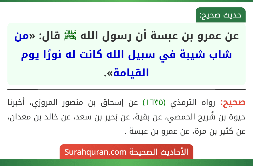 عن عمرو بن عبسة أن رسول الله ﷺ قال: «من شاب شيبة في سبيل الله كانت له نورًا يوم القيامة».