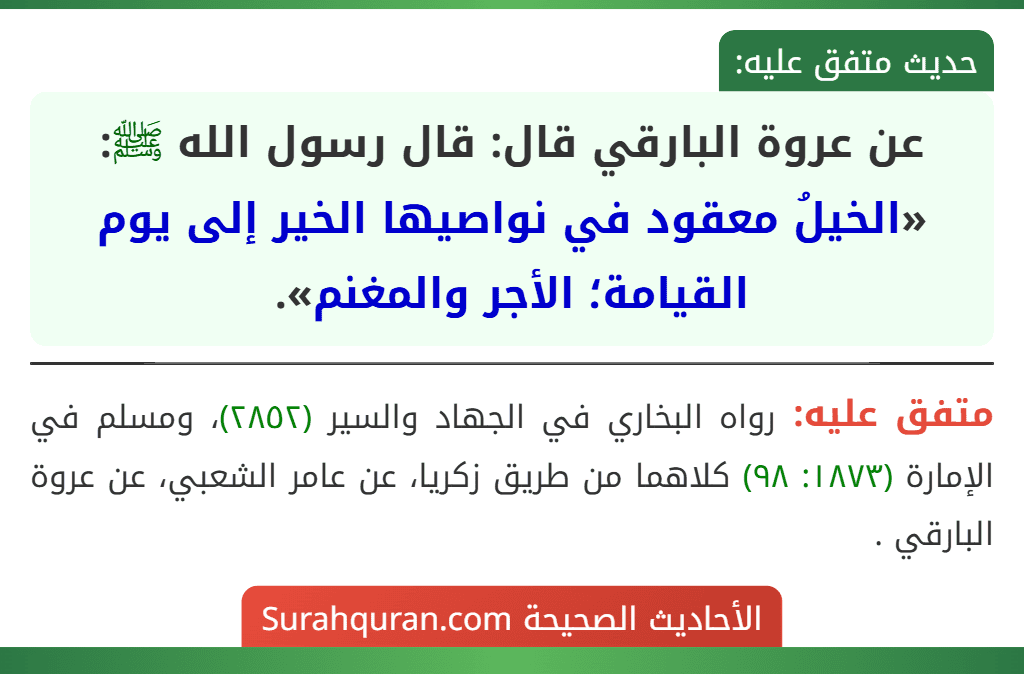 عن عروة البارقي قال: قال رسول الله ﷺ: «الخيلُ معقود في نواصيها الخير إلى يوم القيامة؛ الأجر والمغنم». عن عروة البارقي قال: قال رسول الله ﷺ: «الخيلُ معقود في نواصيها الخير إلى يوم القيامة؛ الأجر والمغنم».