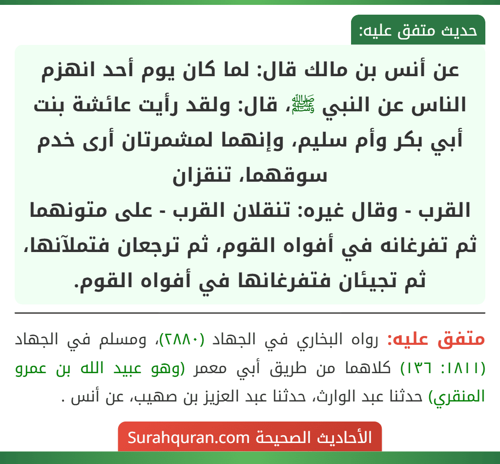 عن أنس بن مالك قال: لما كان يوم أحد انهزم الناس عن النبي ﷺ، قال: ولقد رأيت عائشة بنت أبي بكر وأم سليم، وإنهما لمشمرتان أرى خدم سوقهما، تنقزان
القرب - وقال غيره: تنقلان القرب - على متونهما ثم تفرغانه في أفواه القوم، ثم ترجعان فتملآنها، ثم تجيئان فتفرغانها في أفواه القوم. عن أنس بن مالك قال: لما كان يوم أحد انهزم الناس عن النبي ﷺ، قال: ولقد رأيت عائشة بنت أبي بكر وأم سليم، وإنهما لمشمرتان أرى خدم سوقهما، تنقزان
القرب - وقال غيره: تنقلان القرب - على متونهما ثم تفرغانه في أفواه القوم، ثم ترجعان فتملآنها، ثم تجيئان فتفرغانها في أفواه القوم.