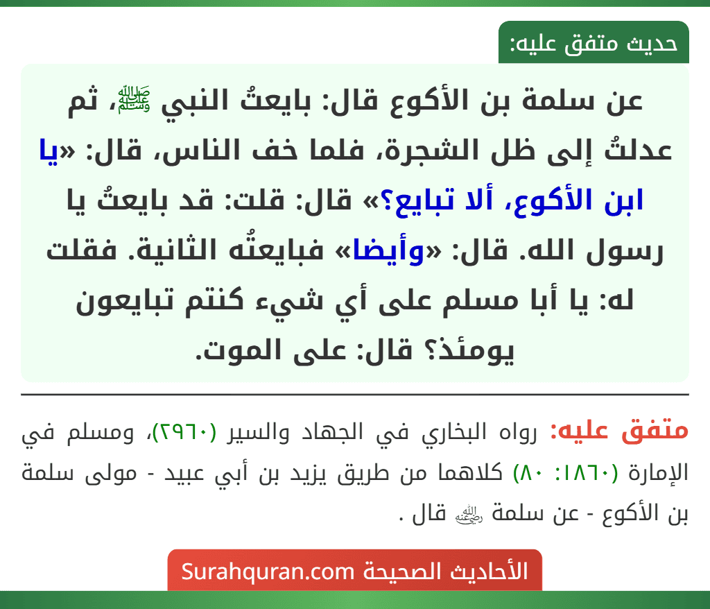 عن سلمة بن الأكوع قال: بايعتُ النبي ﷺ، ثم عدلتُ إلى ظل الشجرة، فلما خف الناس، قال: «يا ابن الأكوع، ألا تبايع؟» قال: قلت: قد بايعتُ يا رسول الله. قال: «وأيضا» فبايعتُه الثانية. فقلت له: يا أبا مسلم على أي شيء كنتم تبايعون يومئذ؟ قال: على الموت.