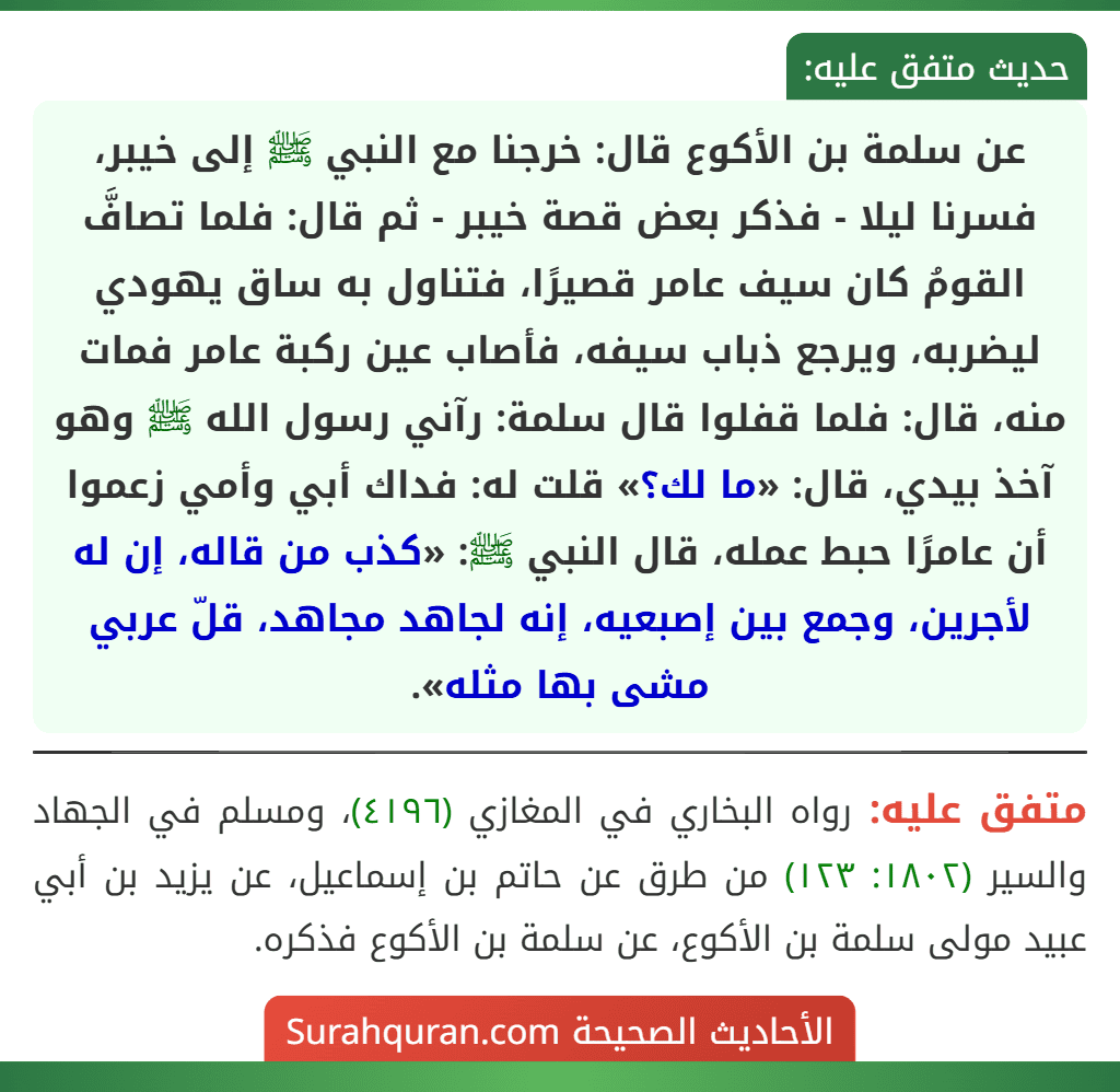 عن سلمة بن الأكوع قال: خرجنا مع النبي ﷺ إلى خيبر، فسرنا ليلا - فذكر بعض قصة خيبر - ثم قال: فلما تصافَّ القومُ كان سيف عامر قصيرًا، فتناول به ساق يهودي ليضربه، ويرجع ذباب سيفه، فأصاب عين ركبة عامر فمات منه، قال: فلما قفلوا قال سلمة: رآني رسول الله ﷺ وهو آخذ بيدي، قال: «ما لك؟» قلت له: فداك أبي وأمي زعموا أن عامرًا حبط عمله، قال النبي ﷺ: «كذب من قاله، إن له لأجرين، وجمع بين إصبعيه، إنه لجاهد مجاهد، قلّ عربي مشى بها مثله». عن سلمة بن الأكوع قال: خرجنا مع النبي ﷺ إلى خيبر، فسرنا ليلا - فذكر بعض قصة خيبر - ثم قال: فلما تصافَّ القومُ كان سيف عامر قصيرًا، فتناول به ساق يهودي ليضربه، ويرجع ذباب سيفه، فأصاب عين ركبة عامر فمات منه، قال: فلما قفلوا قال سلمة: رآني رسول الله ﷺ وهو آخذ بيدي، قال: «ما لك؟» قلت له: فداك أبي وأمي زعموا أن عامرًا حبط عمله، قال النبي ﷺ: «كذب من قاله، إن له لأجرين، وجمع بين إصبعيه، إنه لجاهد مجاهد، قلّ عربي مشى بها مثله».